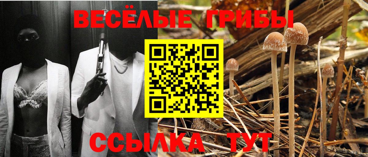 Павловский Посад  Галлюциногенные грибы мицелий  Вход с VPN 