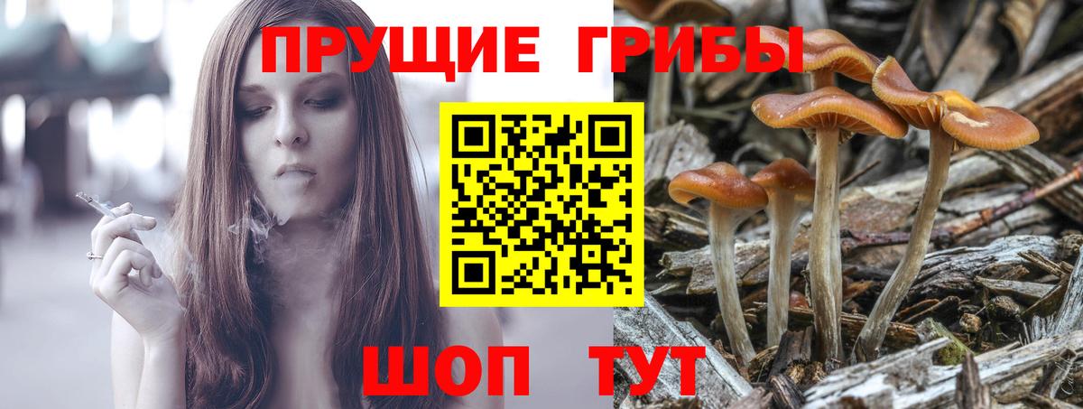 Галлюциногенные грибы MAGIC MUSHROOMS Павловский Посад